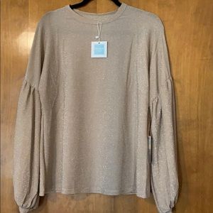 Hayden Los Angeles Cream and Sliver Blouse